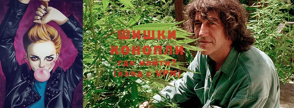 амф Верея