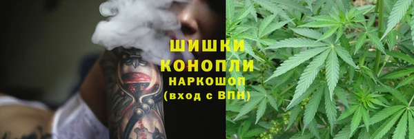 амф Верея
