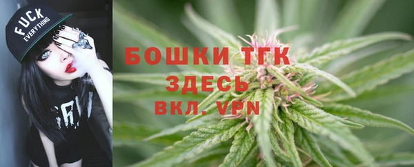 индика Верхнеуральск