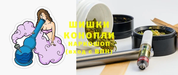 индика Верхнеуральск