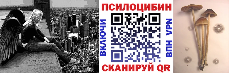 Купить  Волжск  Псилоцибиновые грибы Magic Shrooms 